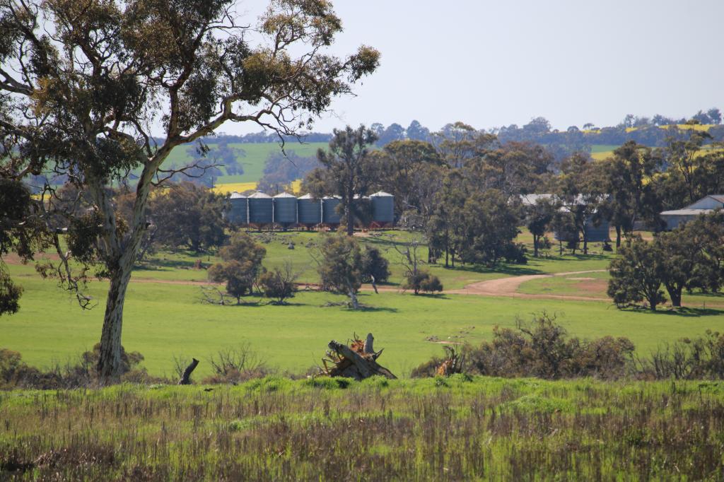 8716 BOYUP BROOK-ARTHUR RD, ARTHUR RIVER, WA 6315