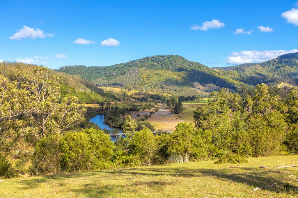 823 NOWENDOC RD, MOUNT GEORGE, NSW 2424