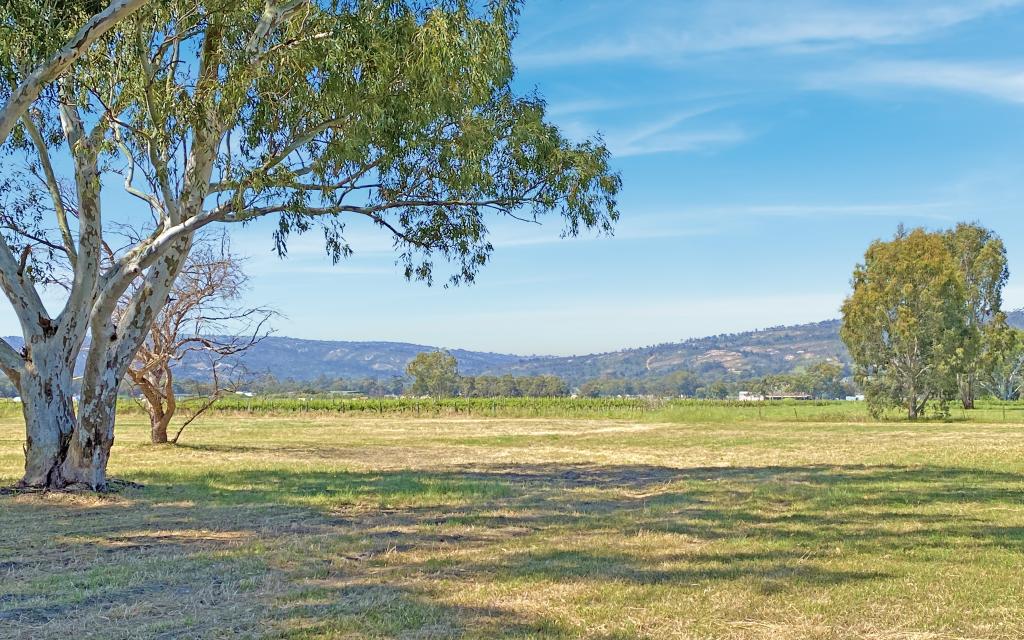 178 Lefroy Ave, Herne Hill, WA 6056