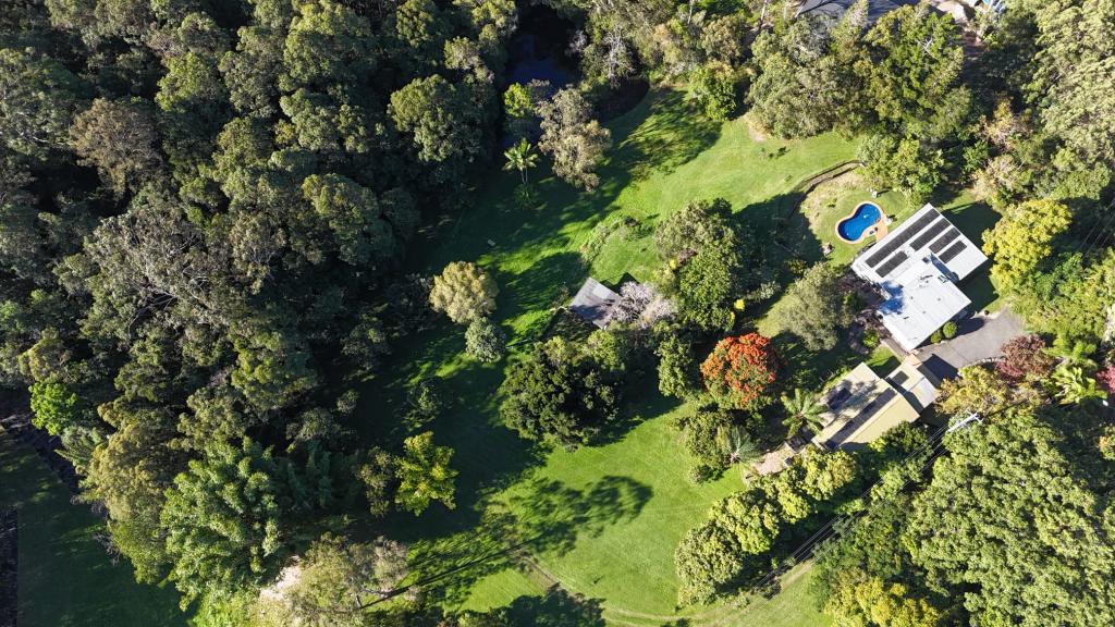 1318 Eumundi-Noosa Rd, Eumundi, QLD 4562