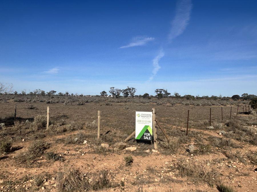 Section 64 Cemetery Rd, Morgan, SA 5320