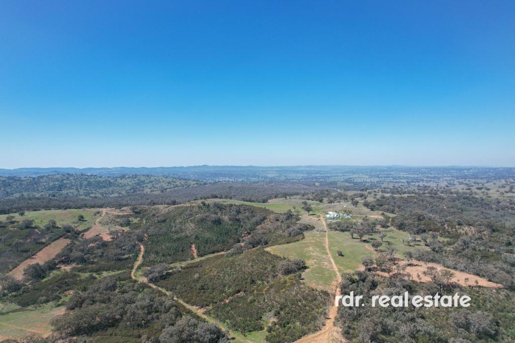 1237 HORTON RD, UPPER HORTON, NSW 2347