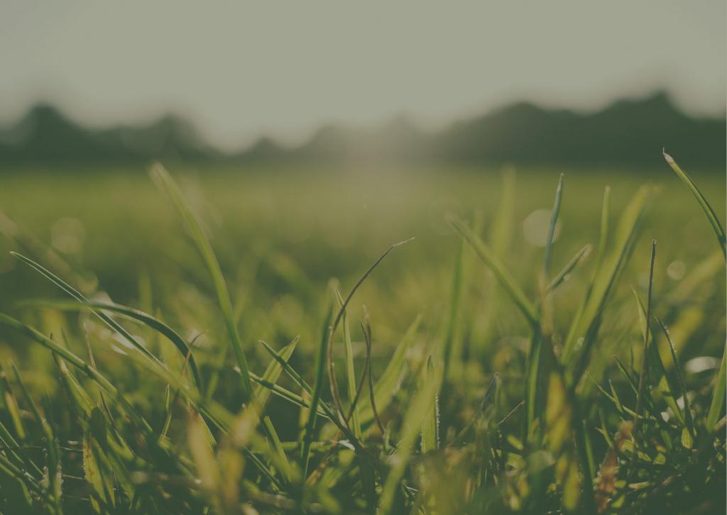 32 Holberry St, Fraser Rise, VIC 3336