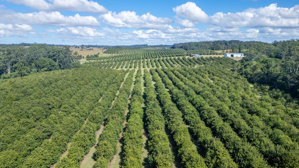 412 South Bank Rd, Tamban, NSW 2441