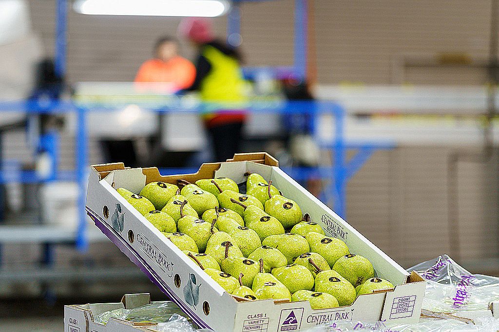 595 Channel Rd, Shepparton East, VIC 3631