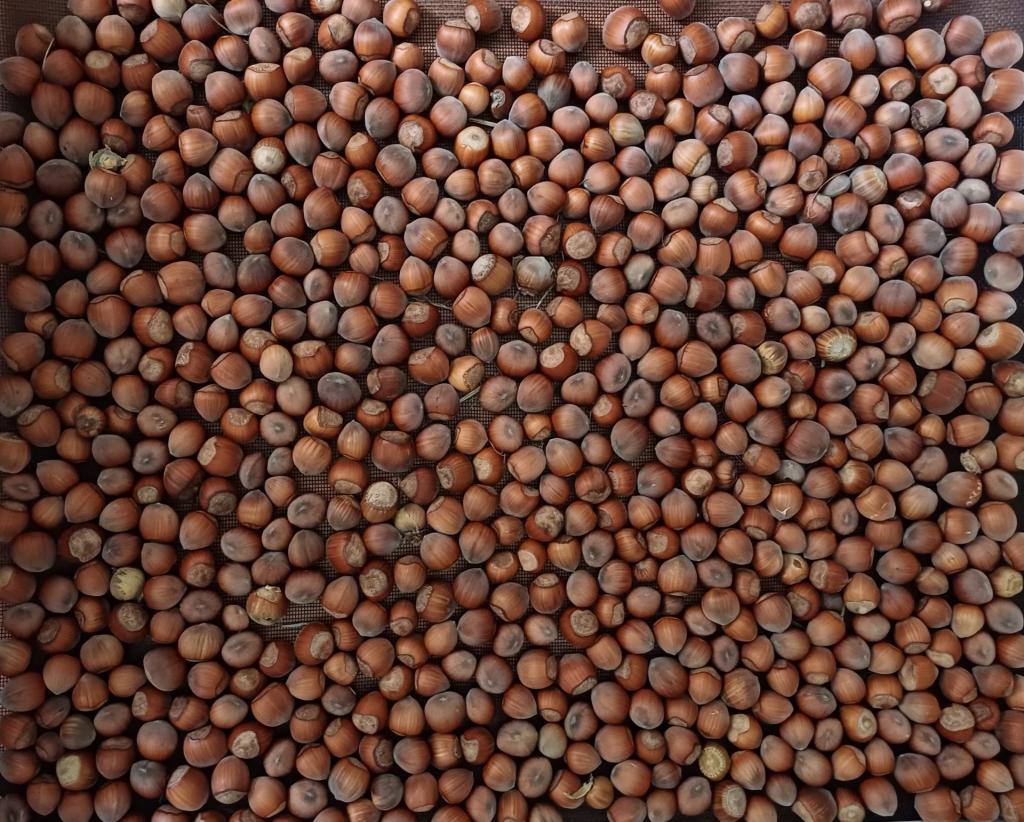 81 Craven Plateau Rd, Bowman, NSW 2422