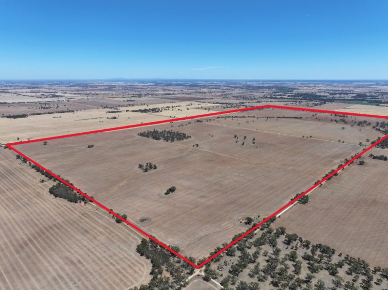 00 Cnr Collins Road & Marktree Rd, Corop, VIC 3559