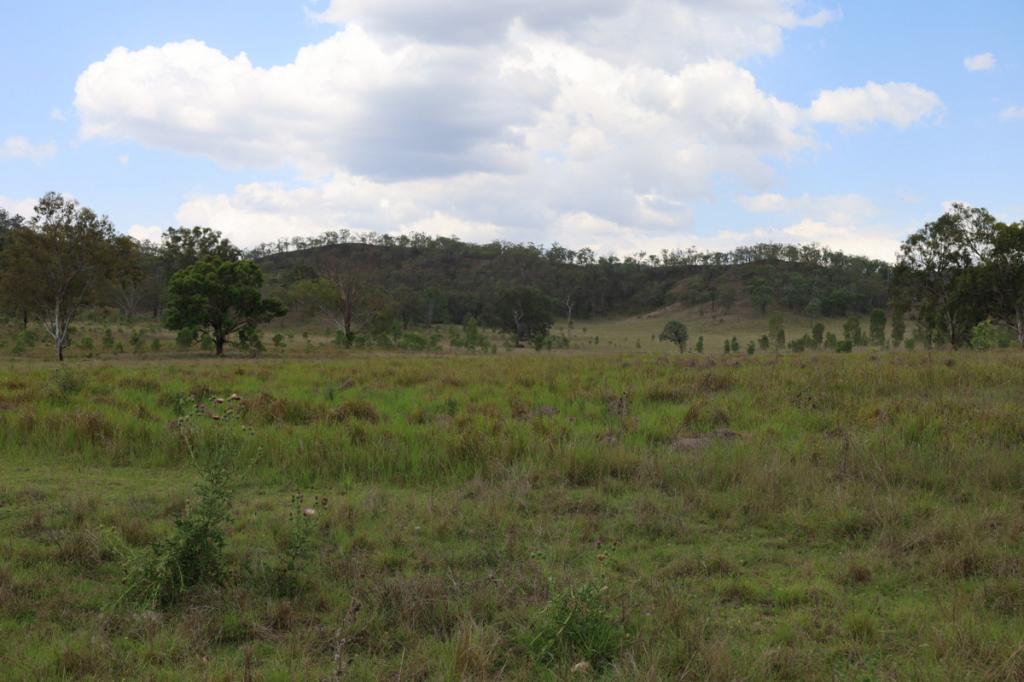 479 Pine Mountain Creek Rd, Monal, QLD 4630