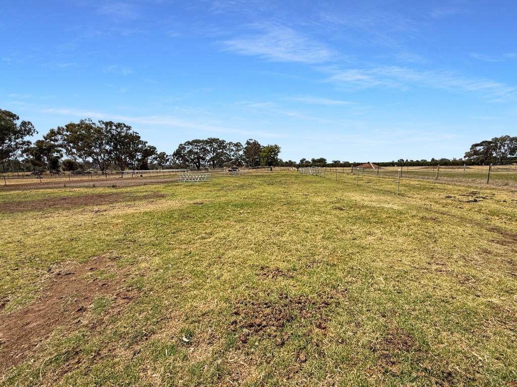 334 Petersham Rd, Leeton, NSW 2705