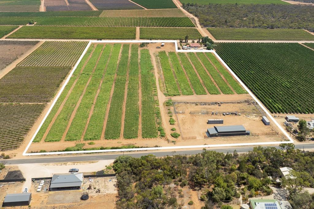 31 Rumball Rd, Winkie, SA 5343