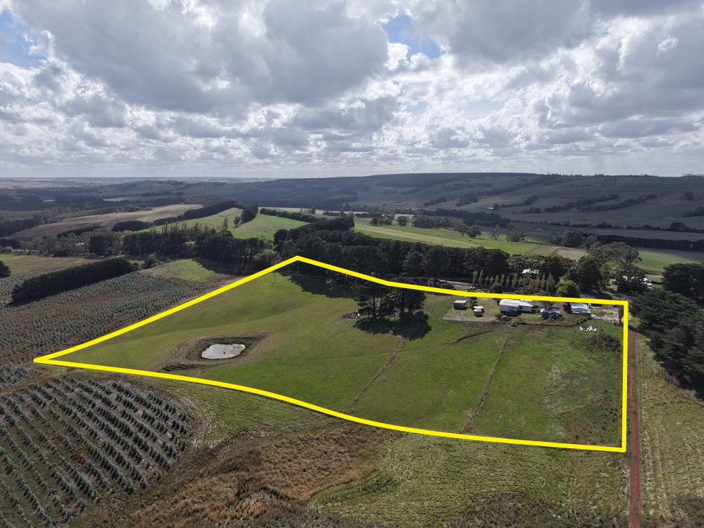 900 Williams Rd, Scotts Creek, VIC 3267