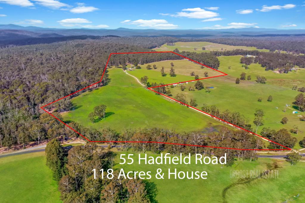 55 Hadfield Rd, Noorinbee, VIC 3890