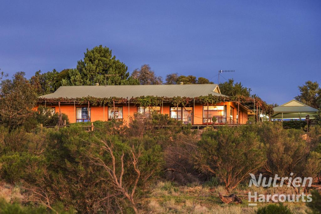 1475 Murtho Rd, Paringa, SA 5340
