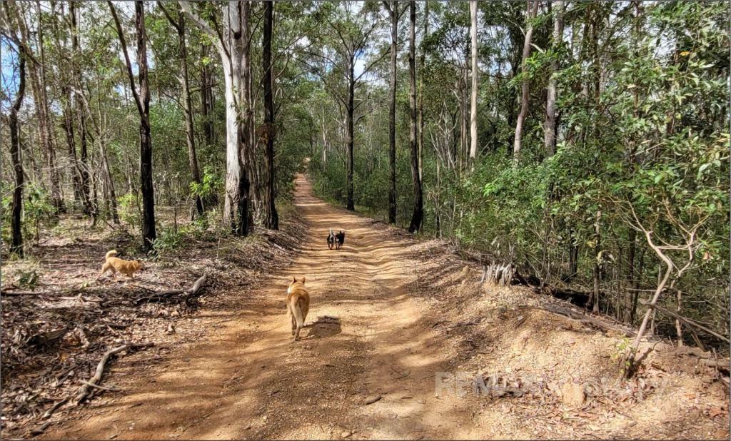 132 Flux Rd, Wamuran Basin, QLD 4512