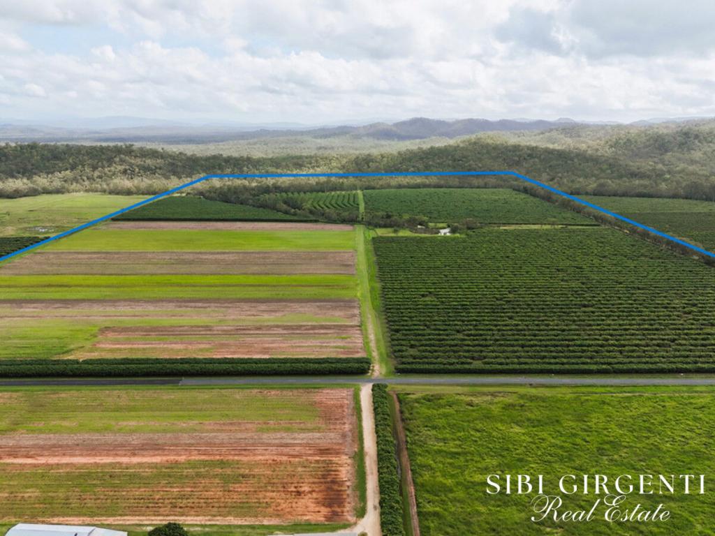Lot 262 Gilmore Rd, Mareeba, QLD 4880