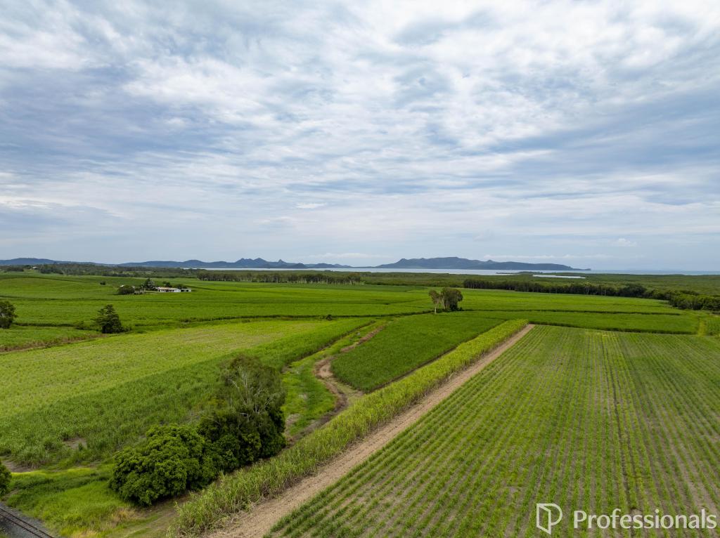 124 Attards Rd, Habana, QLD 4740