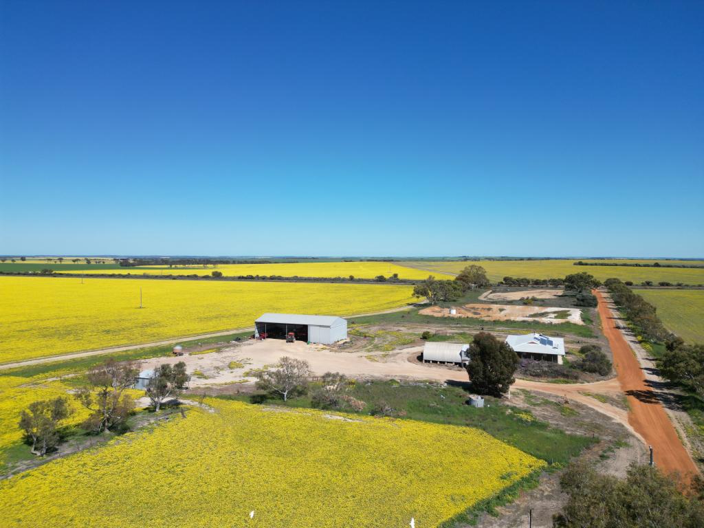 2929 Rabbit Proof Fence Rd, Bullaring, WA 6373