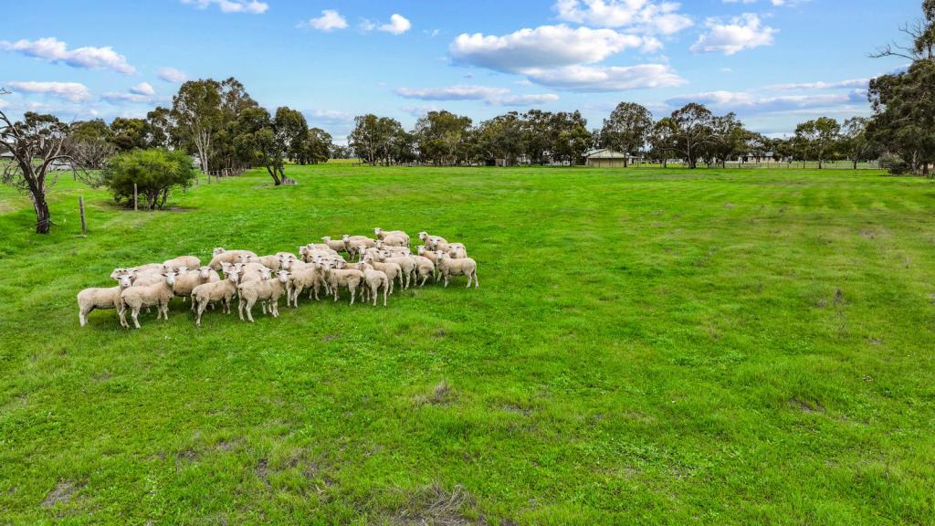 49 Old Padthaway Rd, Mundulla, SA 5270
