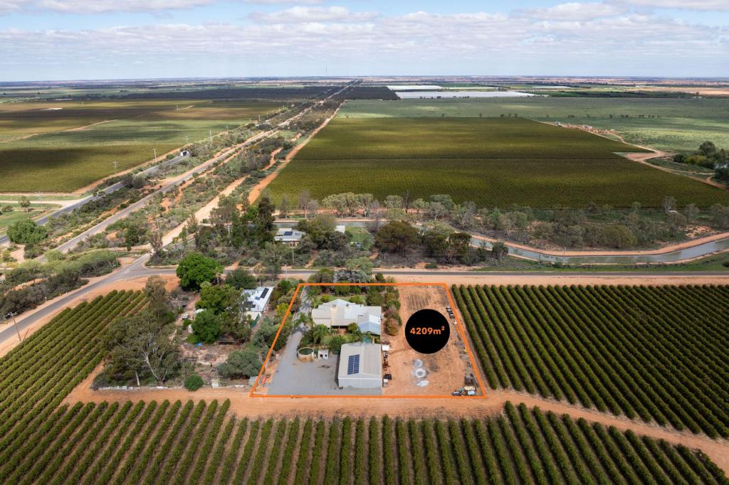 262 Wilga Rd, Red Cliffs, VIC 3496