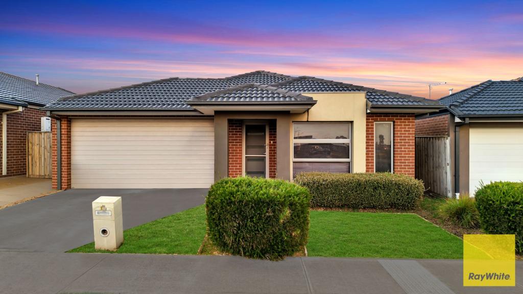 19 Melogold Cres, Tarneit, VIC 3029
