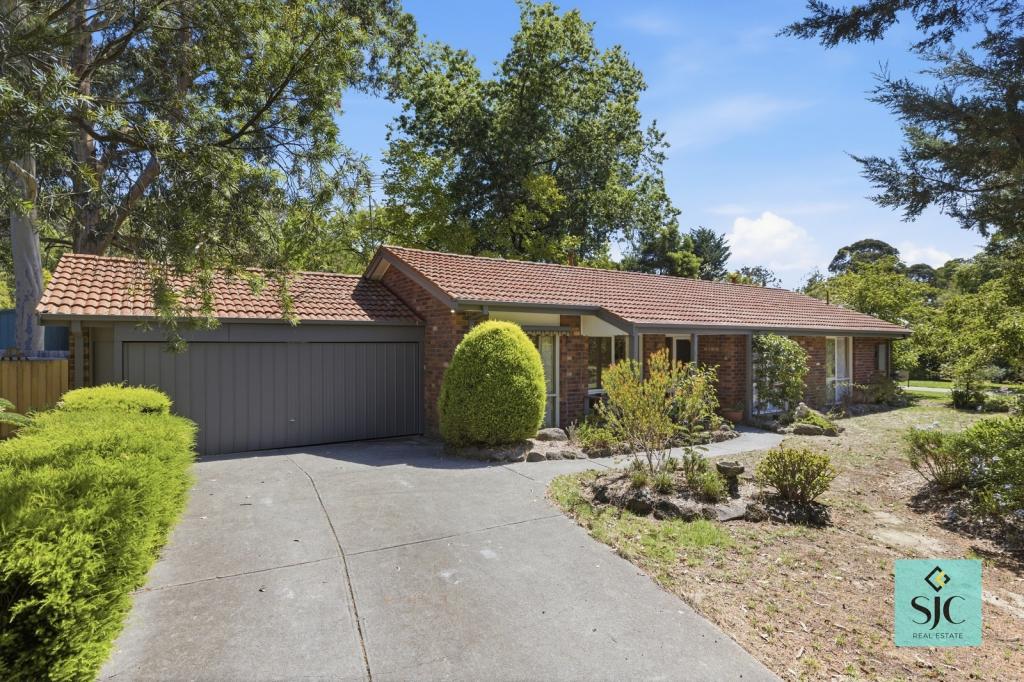 1/6 Patrick Ave, Croydon North, VIC 3136