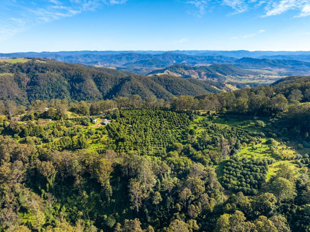 480 Ponsfords Rd, Comboyne, NSW 2429