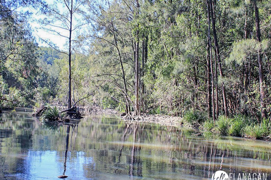 Lot 2 Dungay Creek Rd, Wittitrin, NSW 2440