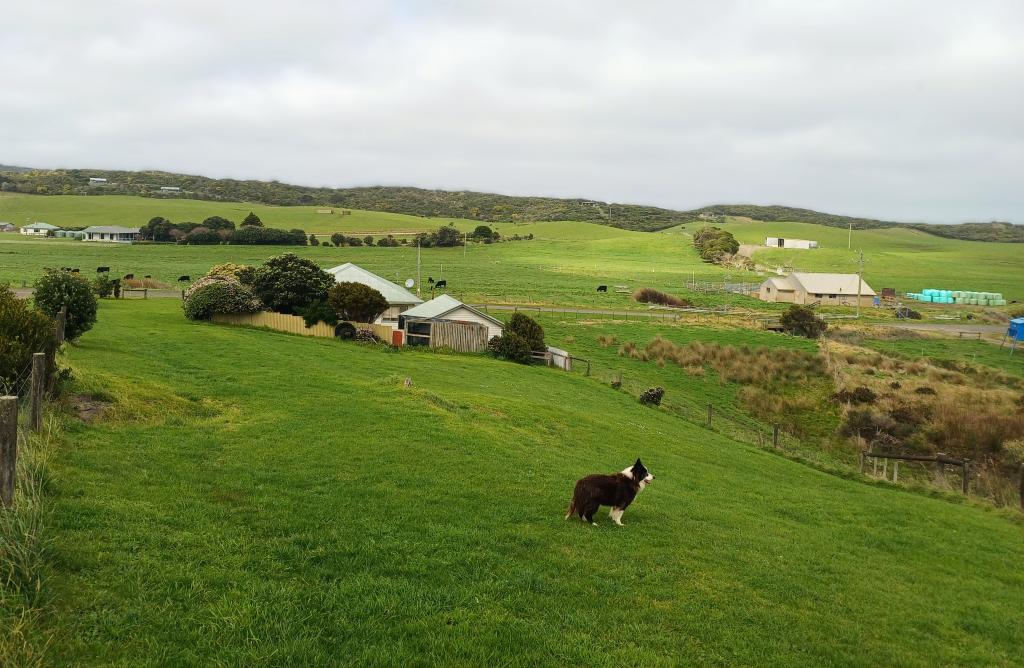 390 Red Johanna Rd, Johanna, VIC 3238