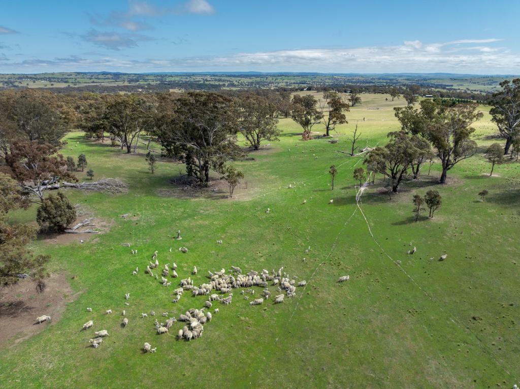 1291 Carlwood Rd, O'Connell, NSW 2795
