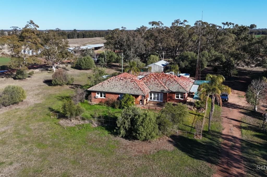 195 CURRA LANE, PEAK HILL, NSW 2869