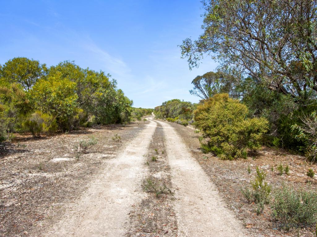 SECT. 230 LEVENS RD, WAROOKA, SA 5577