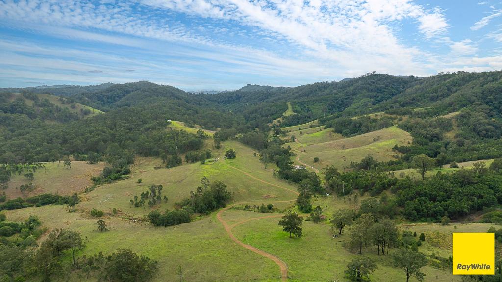 260 Dog Trap Creek Rd, Bingleburra, NSW 2311