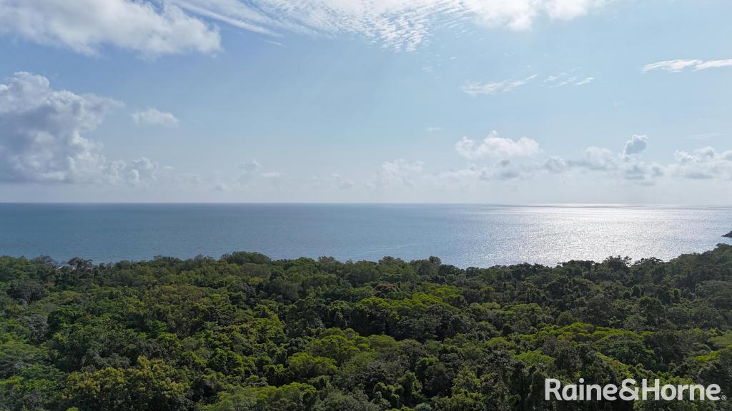 Lot 259 Silver Ash Rd, Cow Bay, QLD 4873