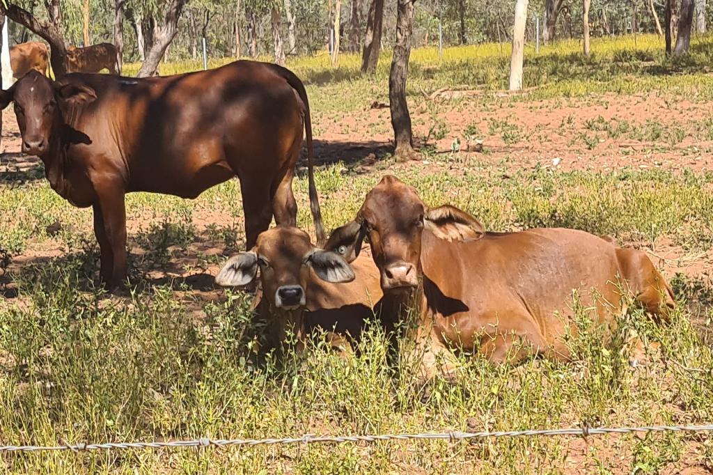 Cape Leveque Rd, Broome, WA 6725