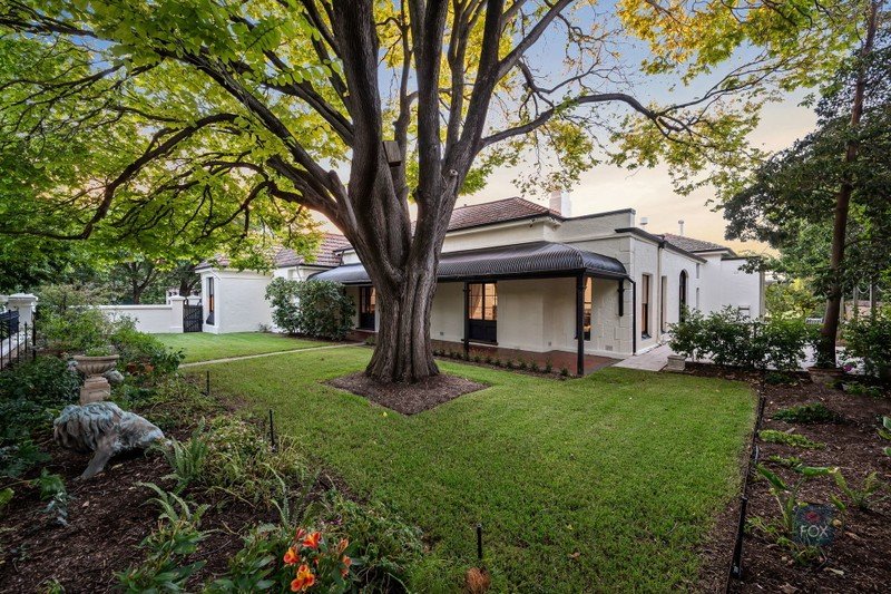 296 WARD ST, NORTH ADELAIDE, SA 5006