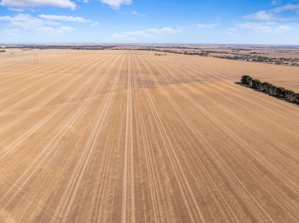 'Halls' Dale Rd, Owen, SA 5460