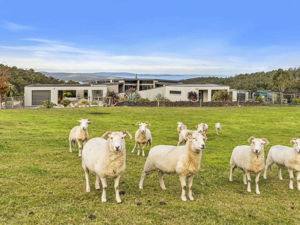 384 Saddle Rd, Kettering, TAS 7155
