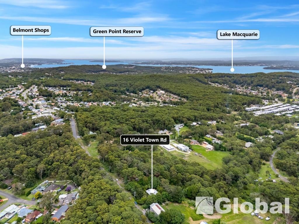 16 Violet Town Rd, Mount Hutton, NSW 2290