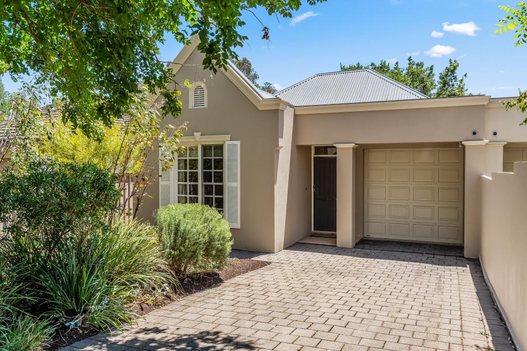 7 Ormond Ave, Magill, SA 5072