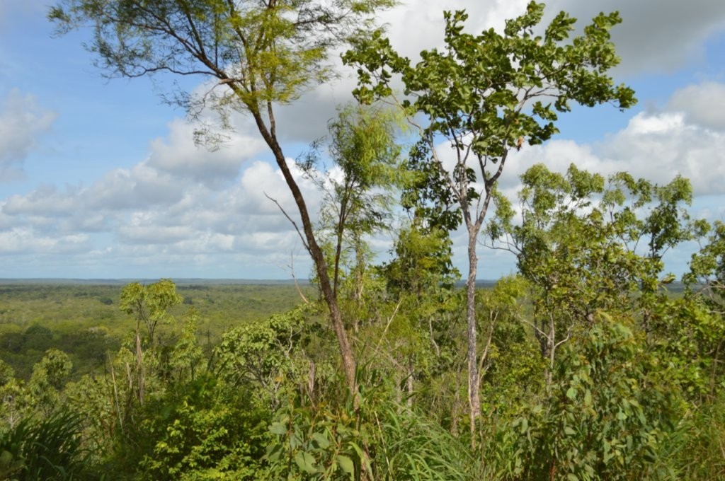660 Miles Rd, Batchelor, NT 0845