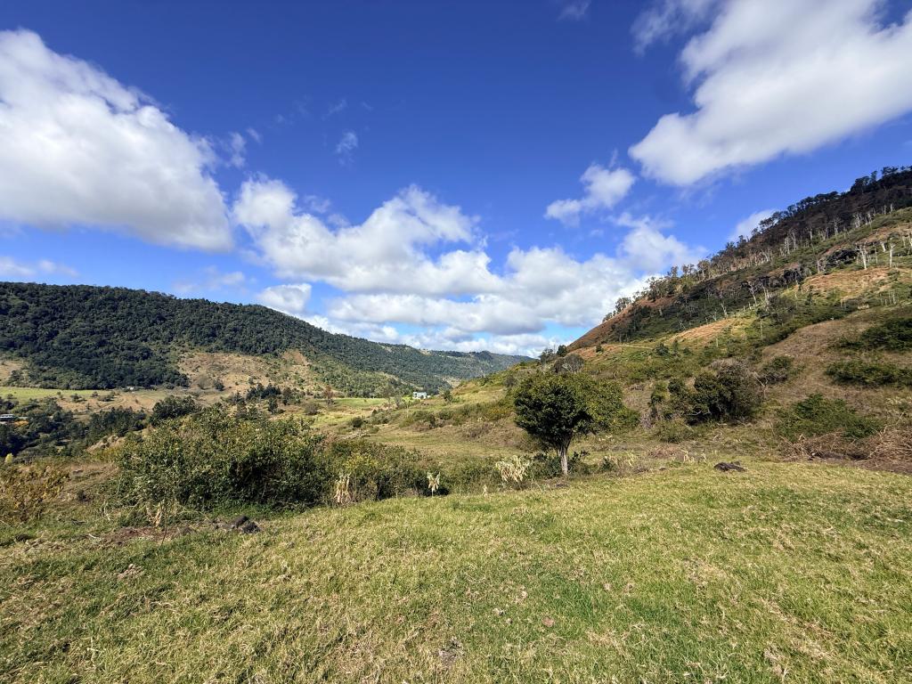 590 Illinbah Rd, Illinbah, QLD 4275