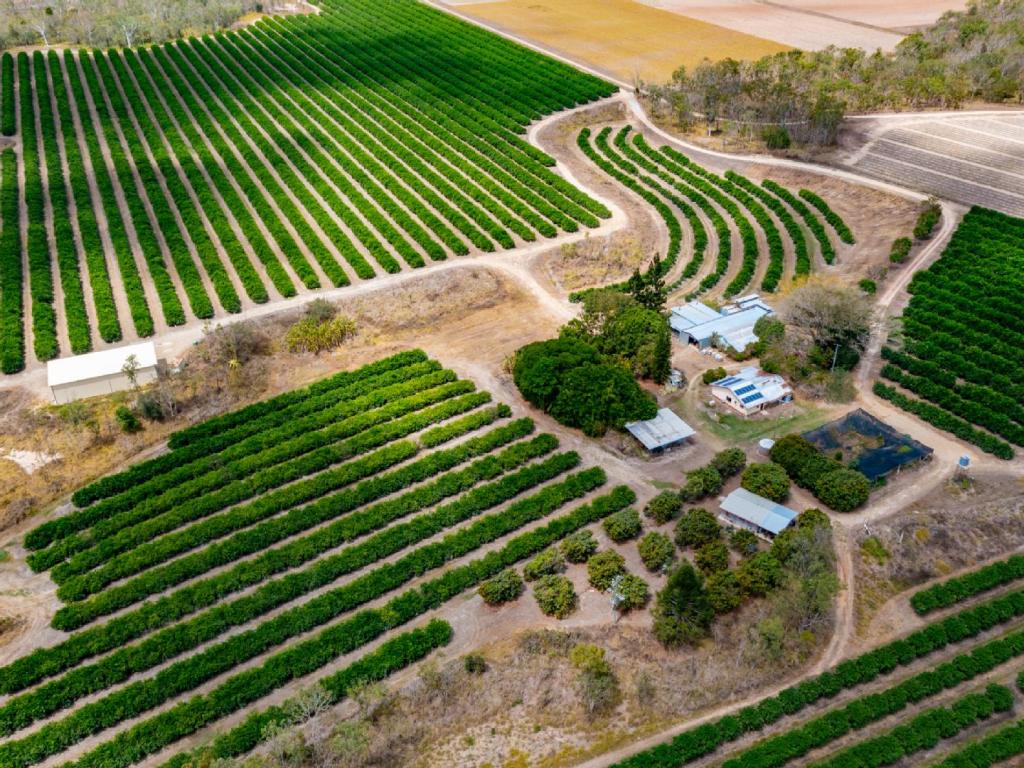 22 Leonardi Rd, Mareeba, QLD 4880