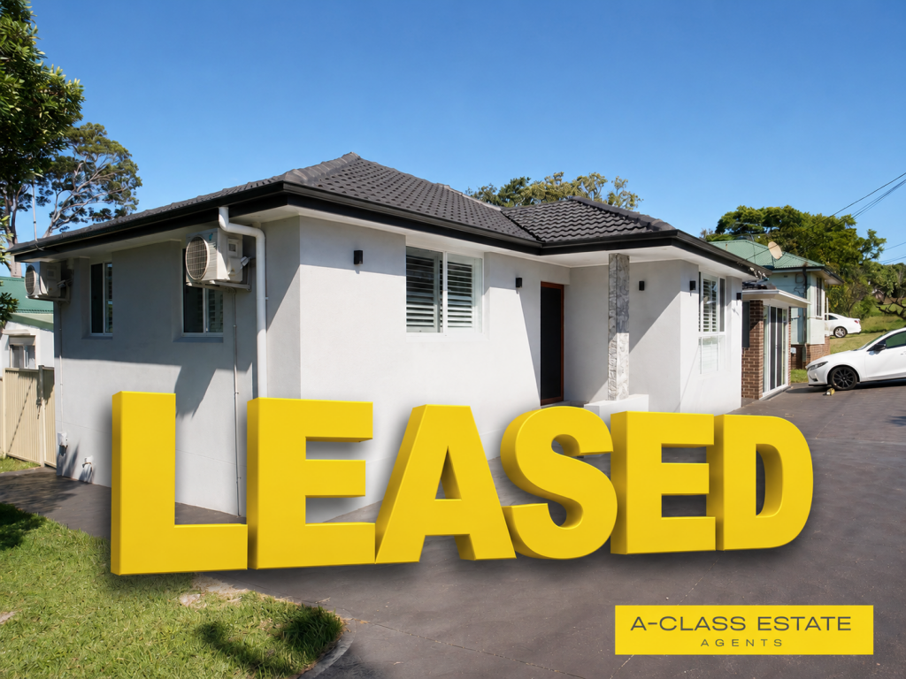 124 Townview Rd, Mount Pritchard, NSW 2170