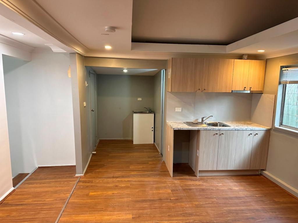 24a Cecilia St, Toongabbie, NSW 2146