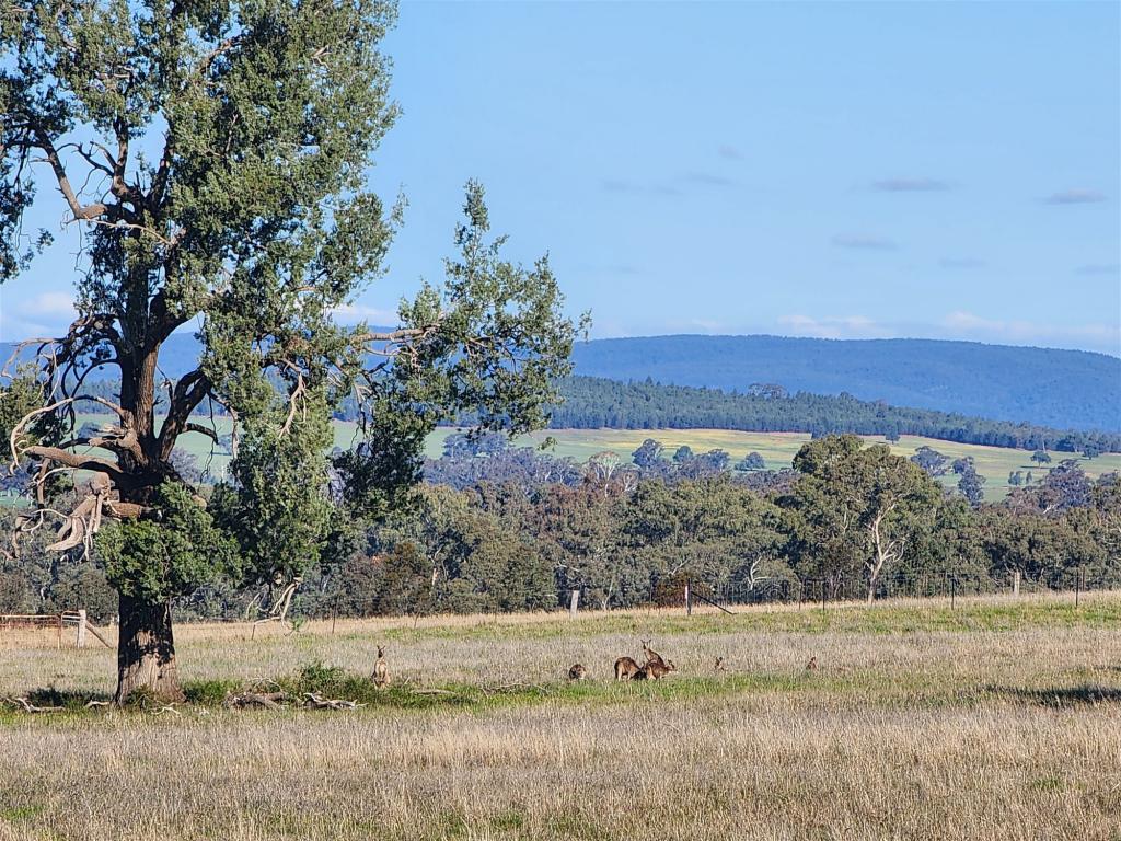 91 Aitken Lane, Parkes, NSW 2870