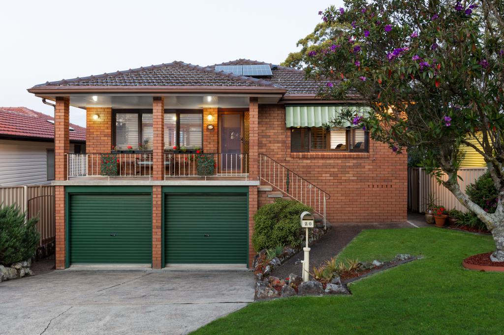 20 Lees St, Charlestown, NSW 2290