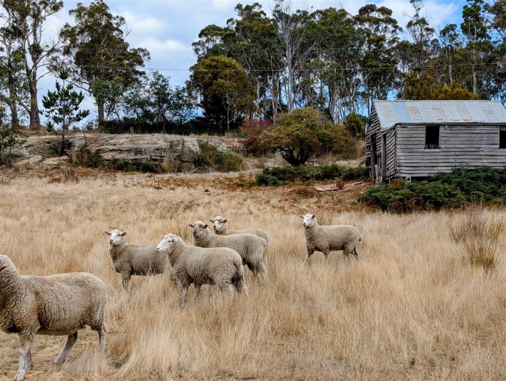 769 Tunnack Rd, Parattah, TAS 7120