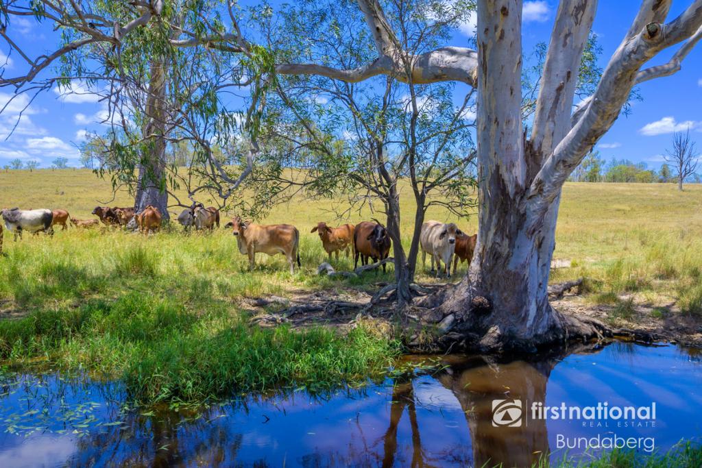 LOT 1 STEBHENS RD, BUNGADOO, QLD 4671