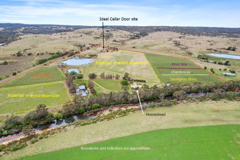 15094 Tasman Hwy, Cranbrook, TAS 7190