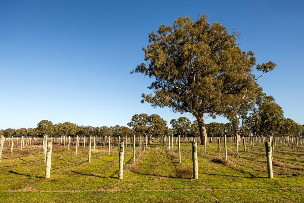 Lot 101/719 Casterton Rd, Penola, SA 5277
